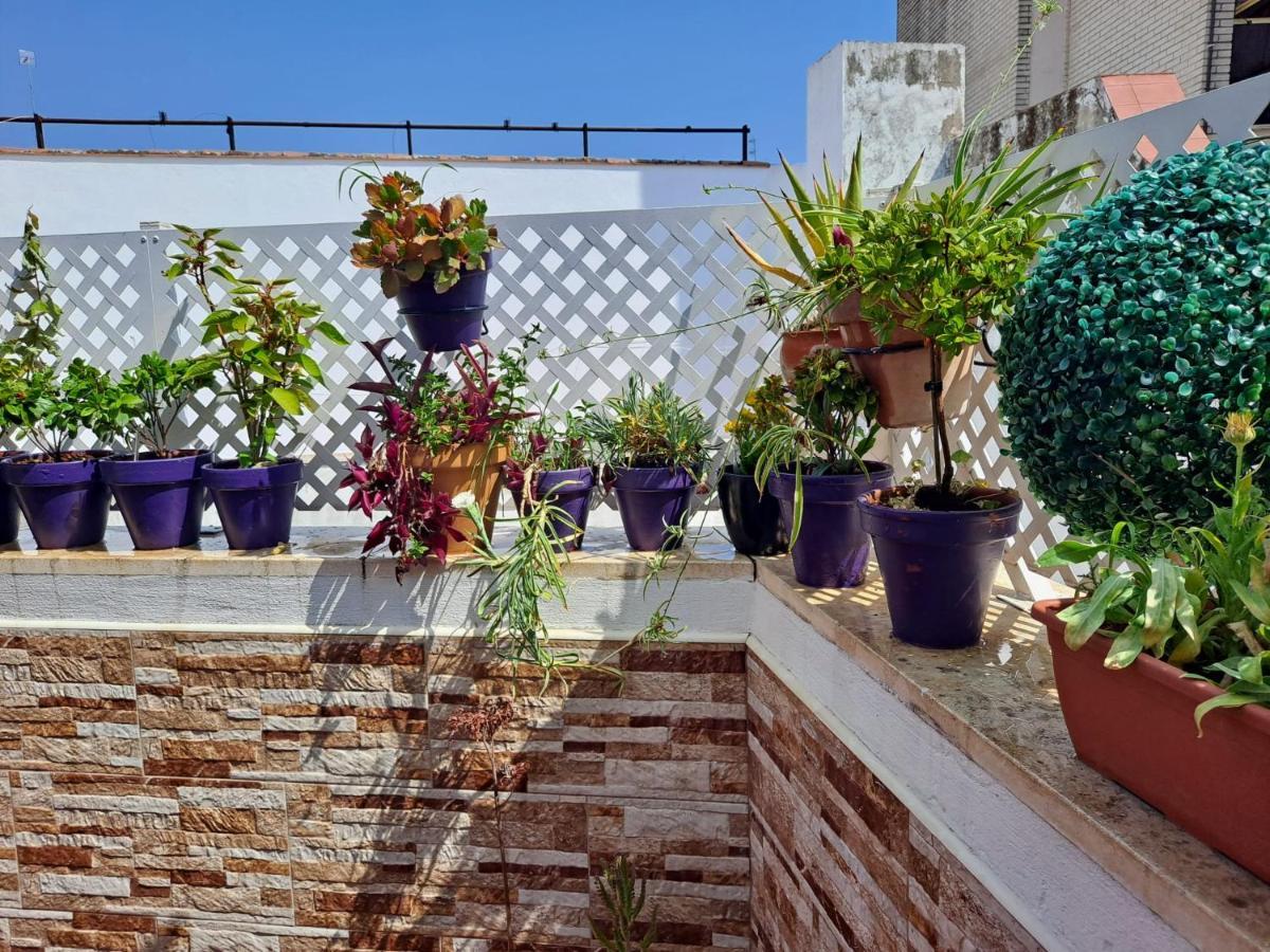 Atico Duplex Marques De Reyes Διαμέρισμα Σεβίλλη Εξωτερικό φωτογραφία